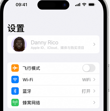 罗城appleID维修服务iPhone设置中Apple ID显示为灰色无法使用 