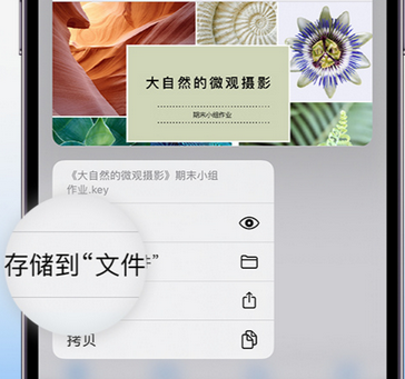 罗城apple维修中心分享iPhone文件应用中存储和找到下载文件