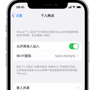 罗城apple服务站点分享iPhone上个人热点丢失了怎么办