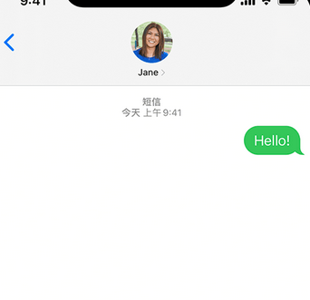 罗城apple维修iPhone上无法正常发送iMessage信息