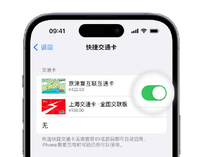 罗城apple维修点分享iPhone上更换Apple Pay快捷交通卡手绘卡面 