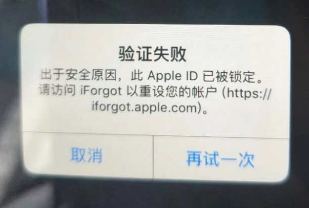 罗城iPhone维修分享iPhone上正常登录或使用AppleID怎么办 