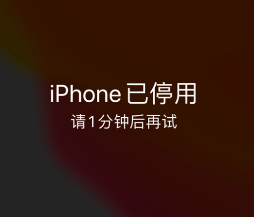 罗城苹果手机维修分享:iPhone 显示“不可用”或“已停用”怎么办？还能保留数据吗？ 