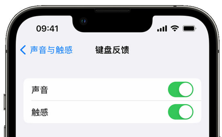 罗城苹果手机维修分享iPhone 14触感键盘使用方法 