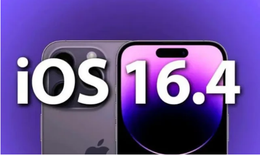 罗城苹果14维修分享：iPhone14可以升级iOS16.4beta2吗？ 