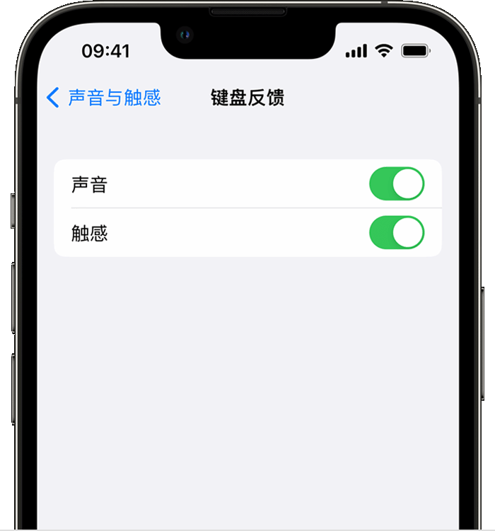 罗城苹果14维修店分享如何在 iPhone 14 机型中使用触感键盘 