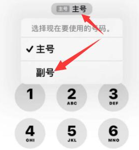 罗城苹果14维修店分享iPhone 14 Pro Max使用副卡打电话的方法 