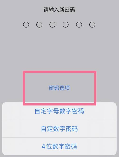 罗城苹果14维修分享iPhone 14plus设置密码的方法 