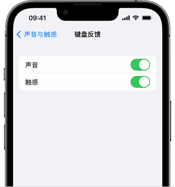 罗城苹果14维修分享iPhone 14 系列机型如何开启键盘声音或触感反馈 