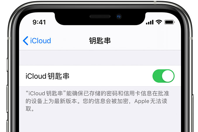 罗城苹果手机维修分享在 iPhone 上开启 iCloud 钥匙串之后会储存哪些信息 