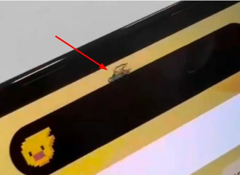 罗城苹果14维修分享iPhone 14 Pro Max灵动岛怎么养宠物 