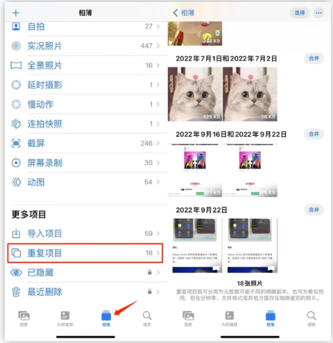 罗城苹果手机维修分享iOS 16 中相册重复项目功能使用方法 