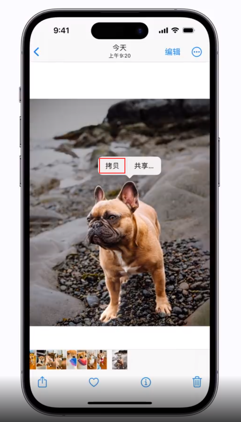 罗城苹果手机维修分享 iOS 16 自带一键抠图功能 