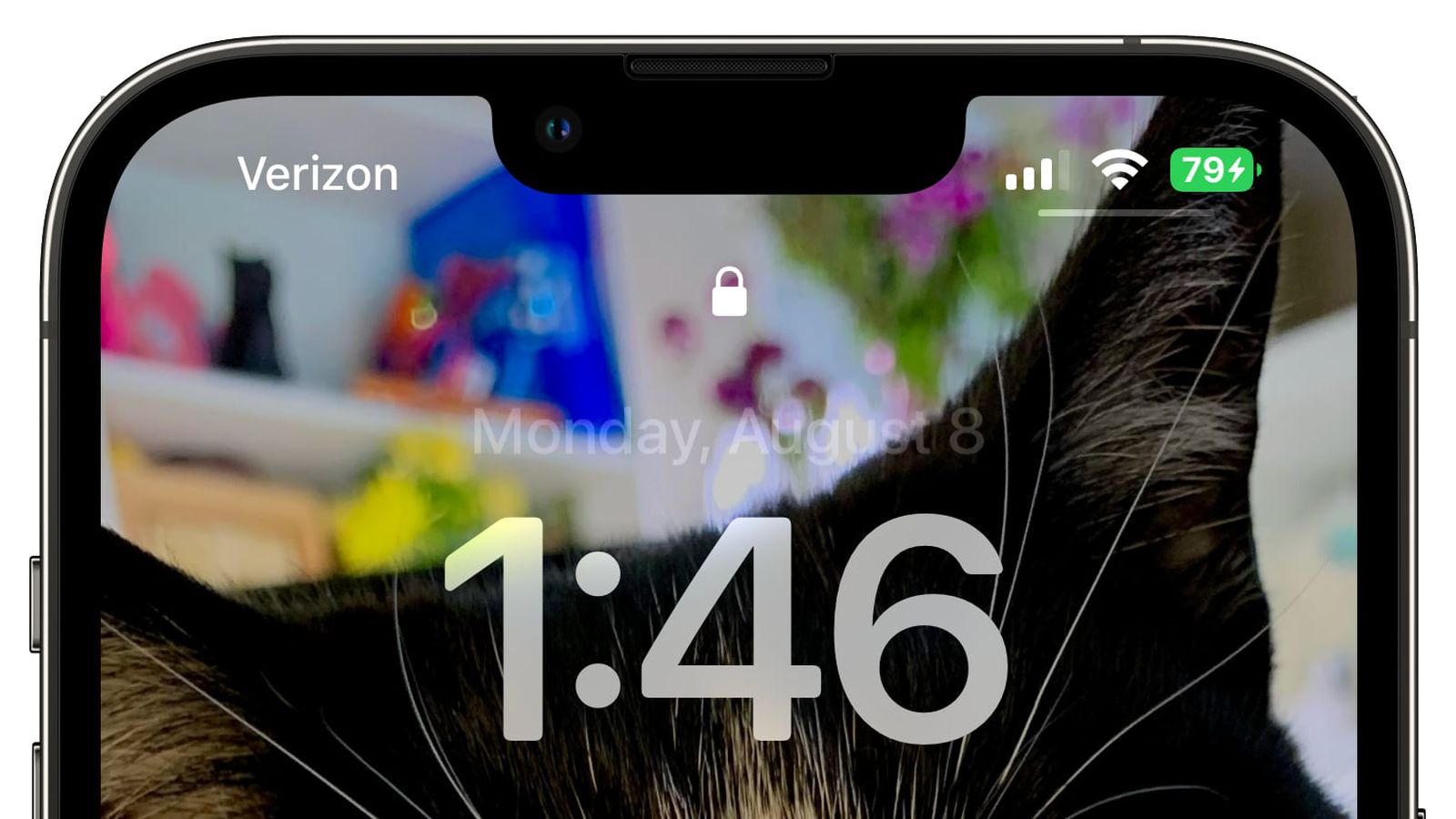 罗城苹果手机维修分享iOS 16 beta 5 支持状态栏显示电池百分比，如何开启？支持哪些机型 