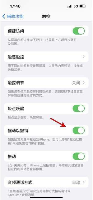 罗城苹果手机维修分享iPhone手机如何设置摇一摇删除文字 