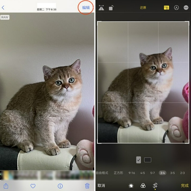 罗城苹果手机维修分享苹果 iPhone 12 Pro 拍照会过度锐化 