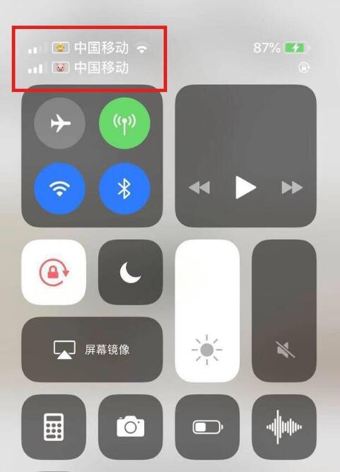 罗城苹果手机维修分享为 iPhone 12 双卡设置标签 