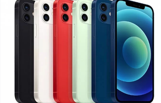 罗城苹果维修点分享iPhone12 Pro Max进水维修 