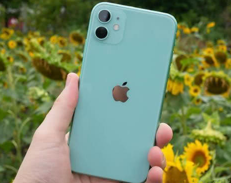 罗城苹果维修点分享iPhone 11锁屏密码认知与使用科普 