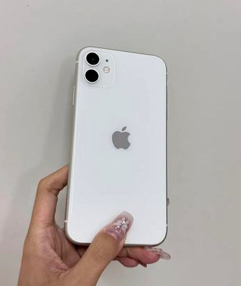 罗城苹果维修点分享iPhone 11黑屏特殊场景解析 