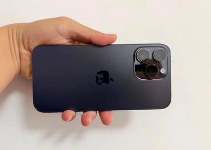 罗城苹果维修点分享iPhone 14 Pro Max黑屏少见故障盘点 